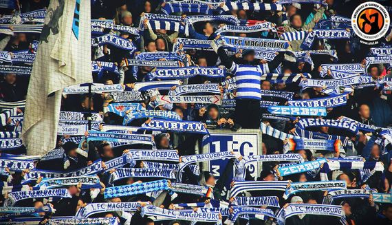 1. FC Magdeburg vs FSV Zwickau (0-0) (14)
