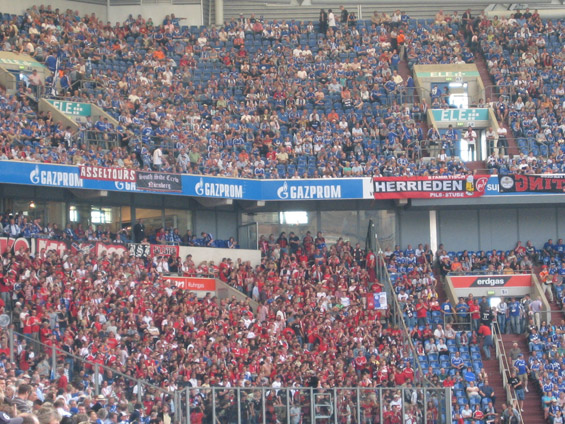 FC Schalke 04 vs 1. FC Nürnberg (1-0) (5)