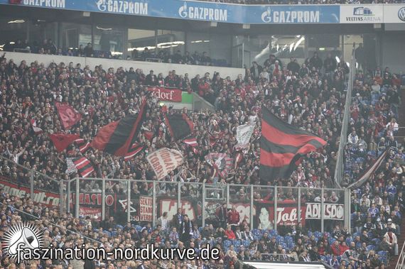 FC Schalke 04 vs 1. FC Nürnberg (1-1) (3)