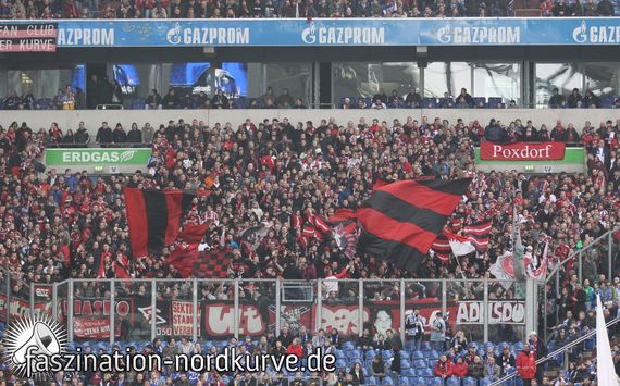 FC Schalke 04 vs 1. FC Nürnberg (1-1) (6)