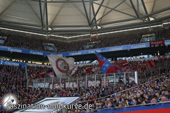 FC Schalke 04 vs 1. FC Nürnberg (2-2) (3)