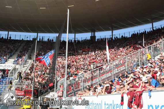 TSG Hoffenheim vs 1. FC Nürnberg (2-3) (4)