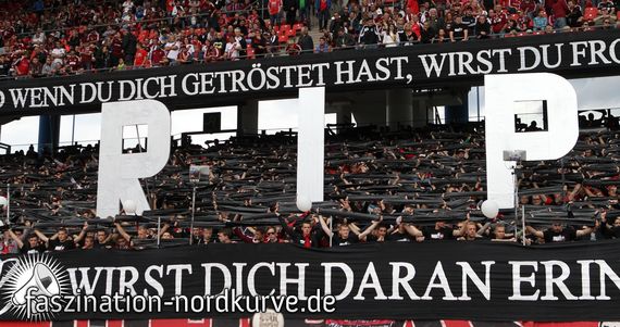 1. FC Nürnberg vs FSV Frankfurt (0-1) (7)