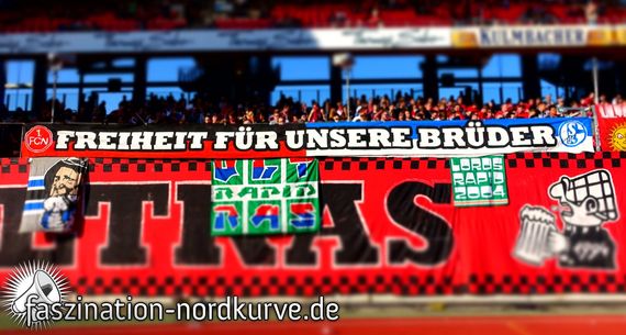 1. FC Nürnberg vs SV Sandhausen (2-0) (3)