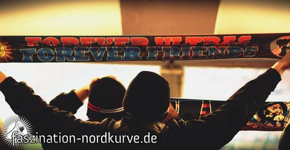 1. FC Nürnberg vs SC Paderborn (2-1) (12)