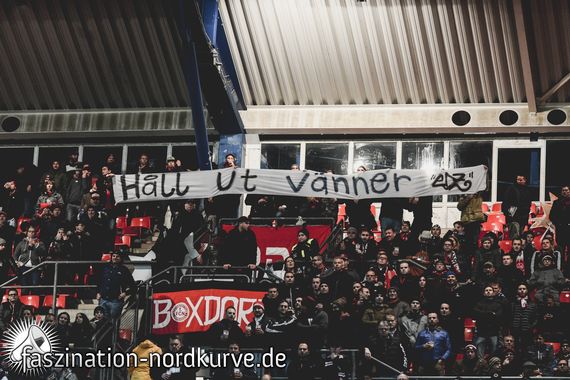 1. FC Nürnberg vs FC Ingolstadt 04 (1-2) (13)