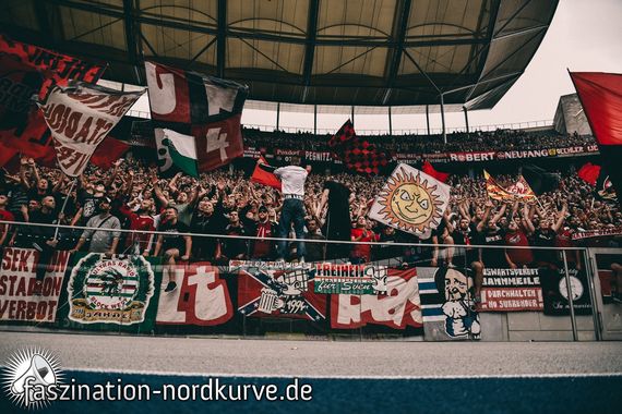 Hertha BSC vs 1. FC Nürnberg (1-0) (36)