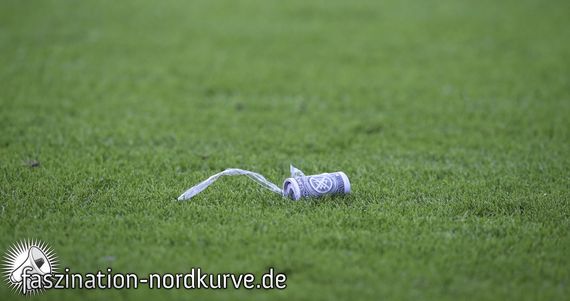 FC Augsburg vs 1. FC Nürnberg (2-2) (20)