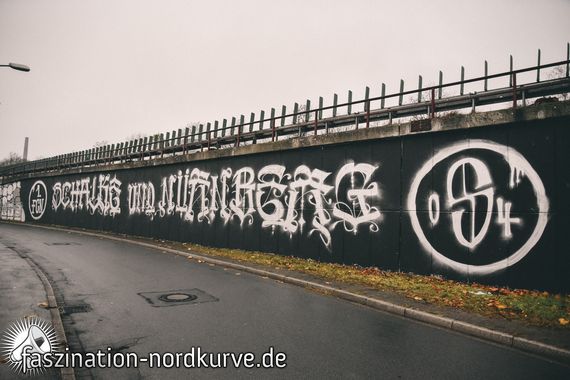 FC Schalke 04 vs 1. FC Nürnberg (5-2) (3)