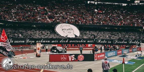 1. FC Nürnberg vs 1. FSV Mainz 05 (1-1) (29)