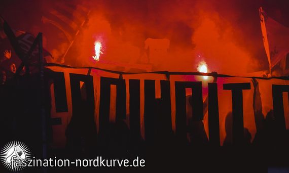 Hannover 96 vs 1. FC Nürnberg (2-0) (11)