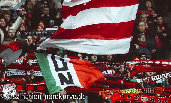 Hannover 96 vs 1. FC Nürnberg (2-0) (17)