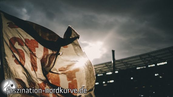 TSG Hoffenheim vs 1. FC Nürnberg (2-1) (8)