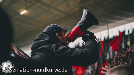 TSG Hoffenheim vs 1. FC Nürnberg (2-1) (11)