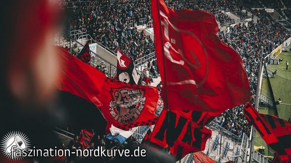 TSG Hoffenheim vs 1. FC Nürnberg (2-1) (21)