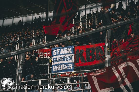TSG Hoffenheim vs 1. FC Nürnberg (2-1) (22)