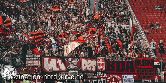 Bayer 04 Leverkusen vs 1. FC Nürnberg (2-0) (1)