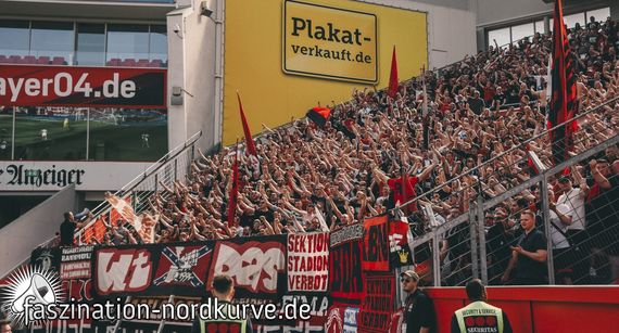 Bayer 04 Leverkusen vs 1. FC Nürnberg (2-0) (4)