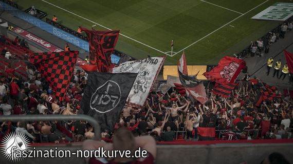Bayer 04 Leverkusen vs 1. FC Nürnberg (2-0) (8)