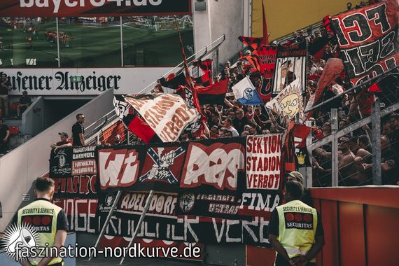 Bayer 04 Leverkusen vs 1. FC Nürnberg (2-0) (12)