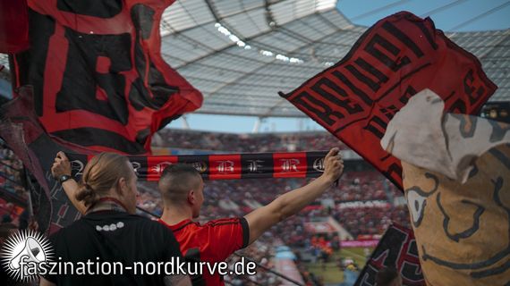 Bayer 04 Leverkusen vs 1. FC Nürnberg (2-0) (16)