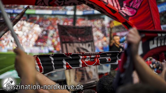 Bayer 04 Leverkusen vs 1. FC Nürnberg (2-0) (18)