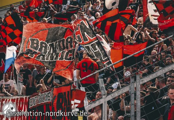 Bayer 04 Leverkusen vs 1. FC Nürnberg (2-0) (23)