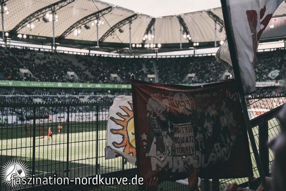 VfL Wolfsburg vs 1. FC Nürnberg (2-0) (3)