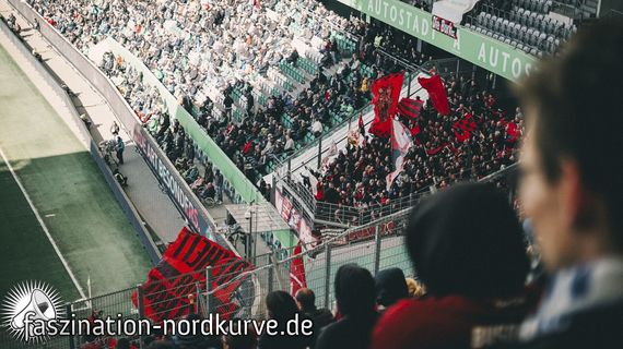 VfL Wolfsburg vs 1. FC Nürnberg (2-0) (5)