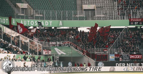 VfL Wolfsburg vs 1. FC Nürnberg (2-0) (6)
