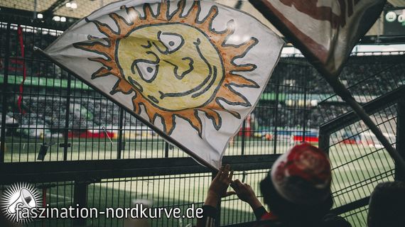 VfL Wolfsburg vs 1. FC Nürnberg (2-0) (25)