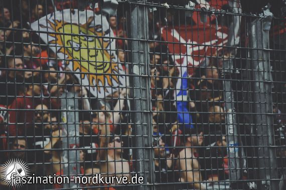 SC Freiburg vs 1. FC Nürnberg (5-1) (14)