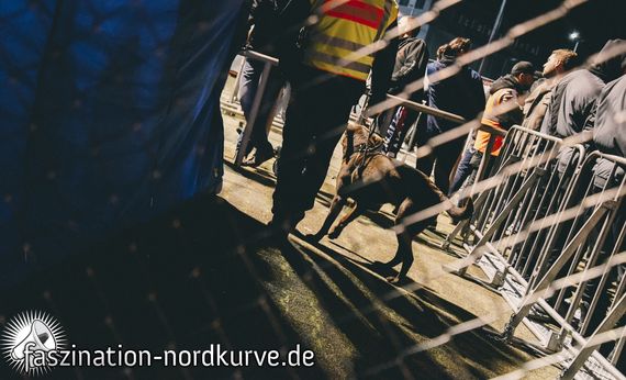 VfL Bochum vs 1. FC Nürnberg (3-1) (1)