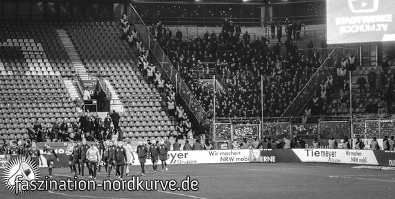 VfL Bochum vs 1. FC Nürnberg (3-1) (21)