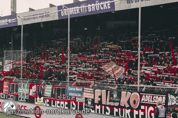 VfL Osnabrück vs 1. FC Nürnberg (0-1) (6)