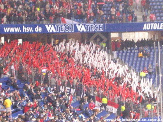 Hamburger SV vs 1. FSV Mainz 05 (2-1) (8)