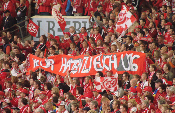 VfB Stuttgart vs 1. FSV Mainz 05 (2-0) (3)