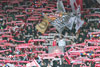 1. FSV Mainz 05 vs FC St. Pauli (2-2)
