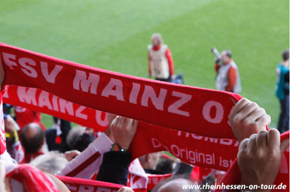 1. FSV Mainz 05 vs TSG Hoffenheim (2-1) (8)