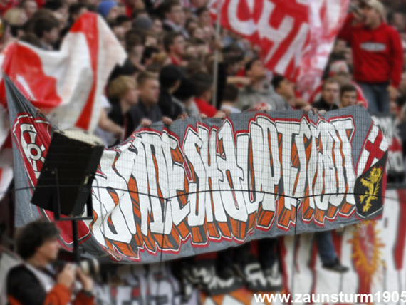 1. FSV Mainz 05 vs 1. FC Kaiserslautern (4-0) (33)
