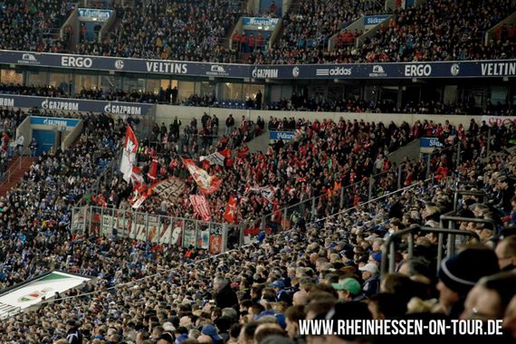 FC Schalke 04 vs 1. FSV Mainz 05 (0-0)
