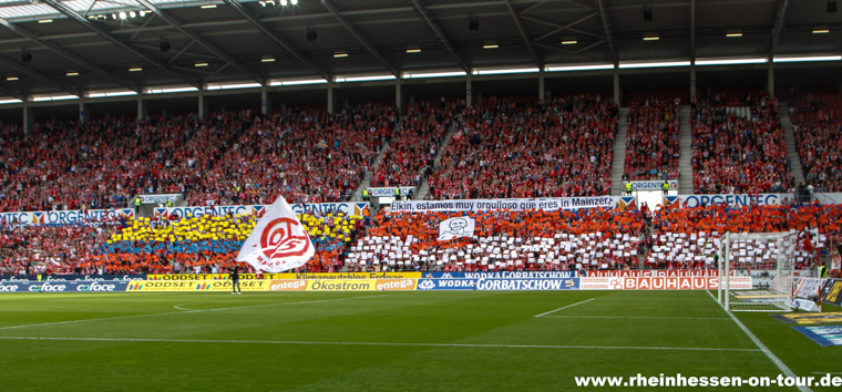 1. FSV Mainz 05 vs Bayer 04 Leverkusen (1-4) (4)