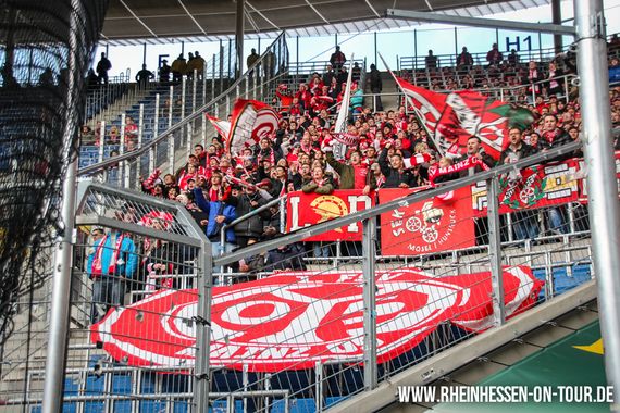 TSG Hoffenheim vs 1. FSV Mainz 05 (2-0) (8)