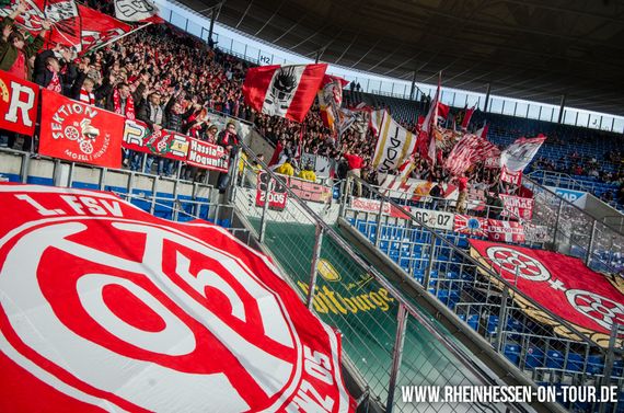 TSG Hoffenheim vs 1. FSV Mainz 05 (2-0) (9)