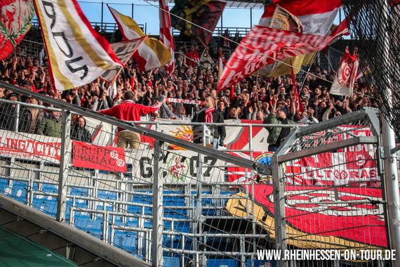 TSG Hoffenheim vs 1. FSV Mainz 05 (2-0) (12)
