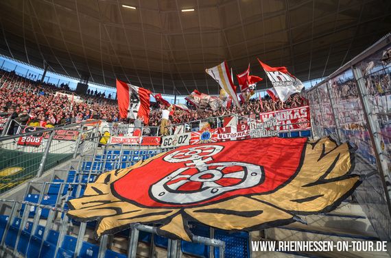 TSG Hoffenheim vs 1. FSV Mainz 05 (2-0) (14)