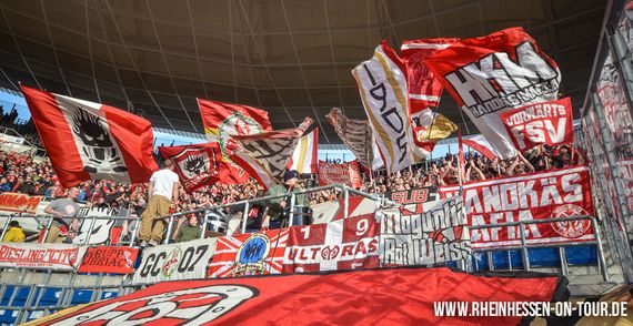 TSG Hoffenheim vs 1. FSV Mainz 05 (2-0) (15)