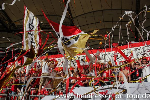 VfB Stuttgart vs 1. FSV Mainz 05 (2-0) (10)