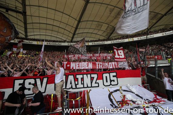 VfB Stuttgart vs 1. FSV Mainz 05 (2-0) (19)