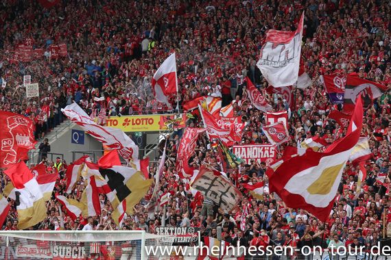 1. FSV Mainz 05 vs 1. FC Köln (2-0) (13)